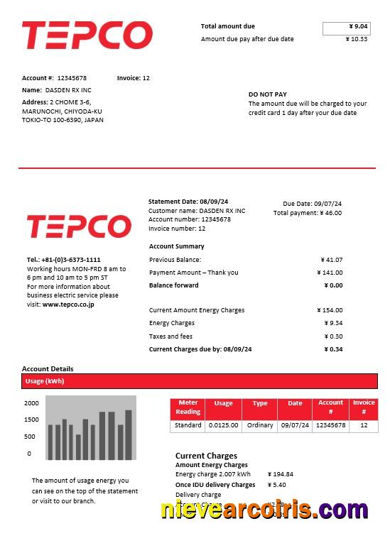 Japan Tokyo Electric Power Company electricity business utility bill